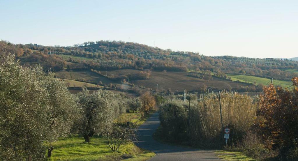 Le Casette Country House Petricci Екстер'єр фото
